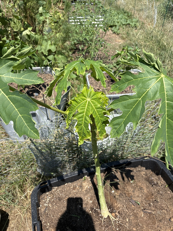 IMG 05C1BB7A BAE3 48C8 BBC3 0D8B3A2607C5