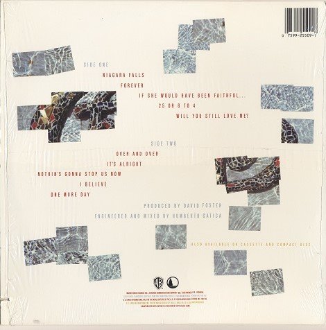 Chicago - Chicago 18 (1986) [Vinyl Rip 24/192] Lossless