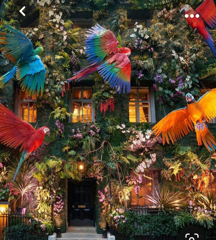 Screenshot_20231005_213704_Pinterest