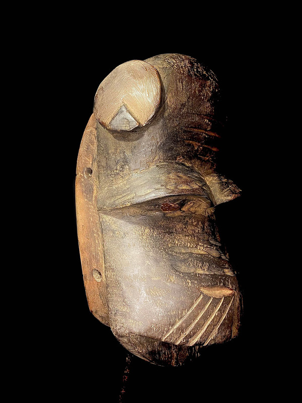 large image 3