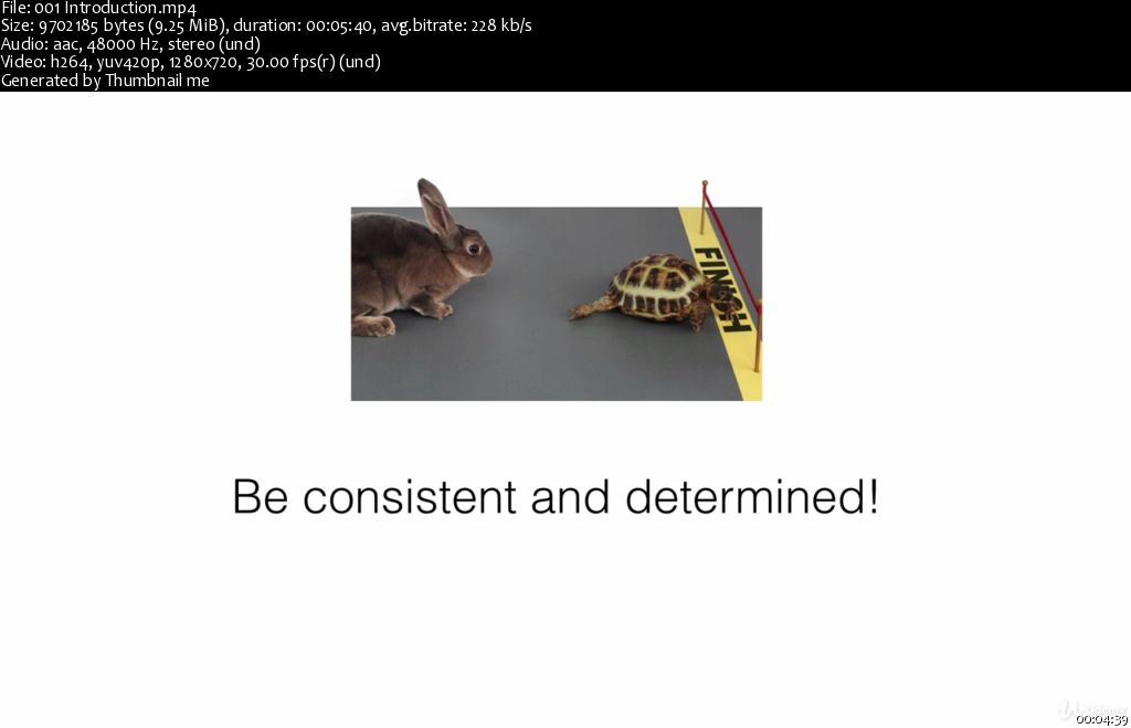 [Image: 0065c43c.jpg]