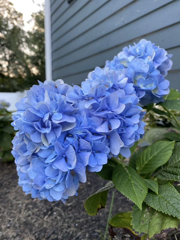 0AC738A5-115D-4B12-B2DD-DE2AF138BFA1