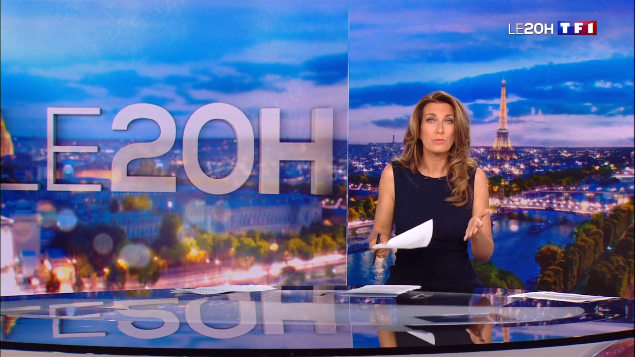 2020-10-24_20_00_TF1_Le-20h.mp4_snapshot_11.15.226