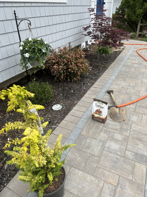 F2BE1A87-C2C8-4A92-85EF-3D2F08E6503D