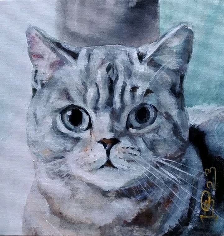 23