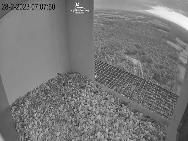 Campics © VWGGemert/BDL en Hans Natuurkanaal. - Pagina 3 6