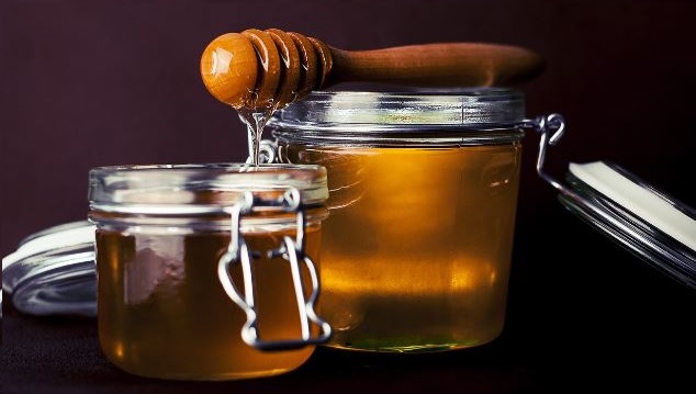 Can Parrots Have Honey