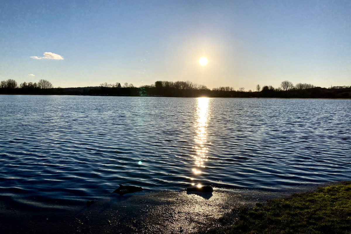 B7946B35-0CDA-4D0C-AE2D-19964100C8A1