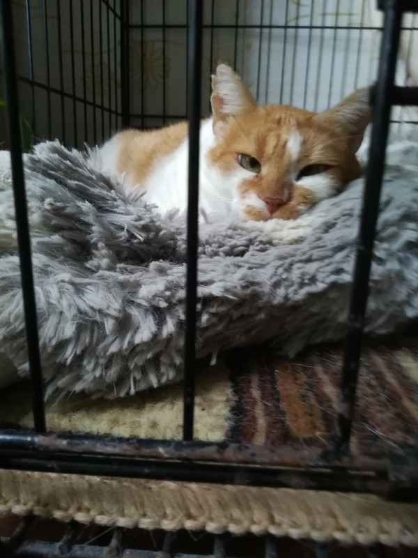 миле хорошо