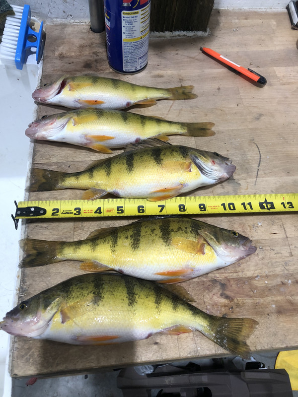 6BA62A25-72F9-407E-8A9E-D46C5BF0F2AB