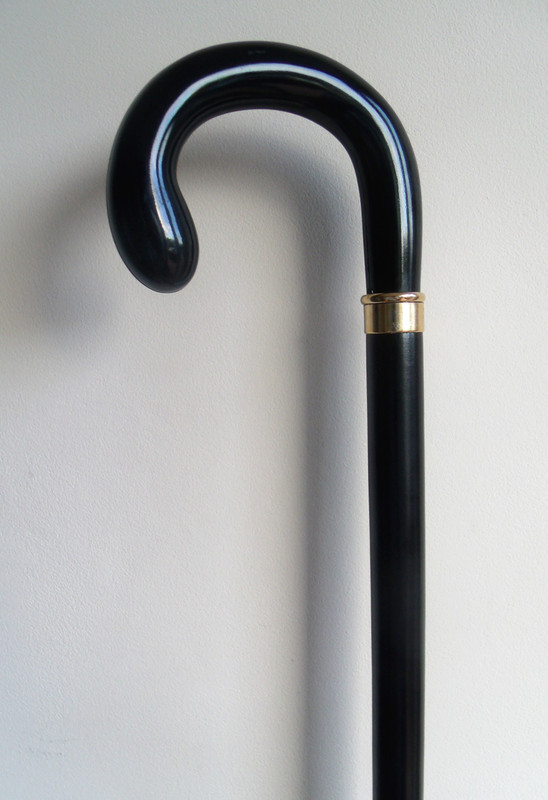 stylish walking canes stylish walking canes