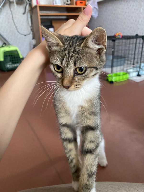 65BFFFA5-62F6-4791-81BD-DDA4E03A500F