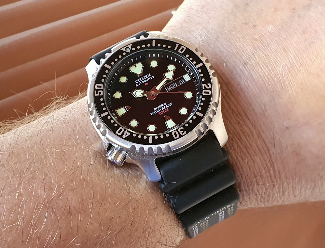 FF1DFE99-2ED5-4F7E-9C03-DF69520996C6