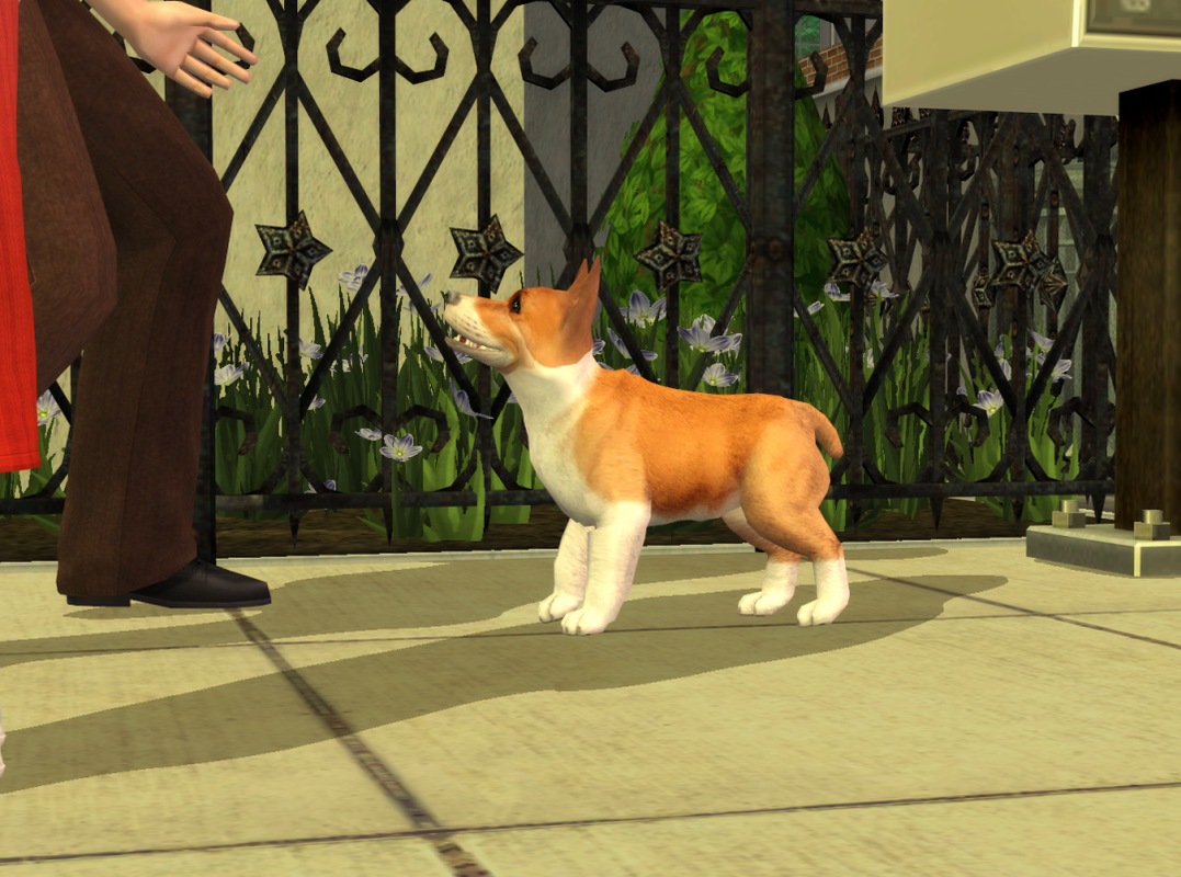 Sims2-EP9-RPC-2023-09-02-18-49-13-09