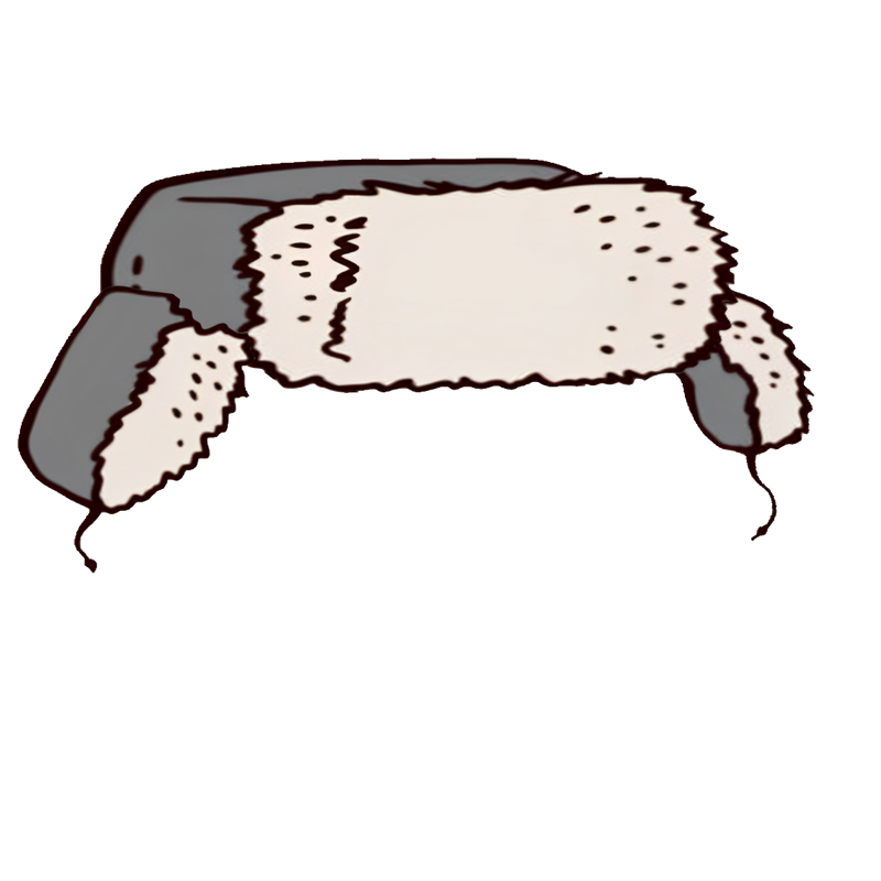 asset