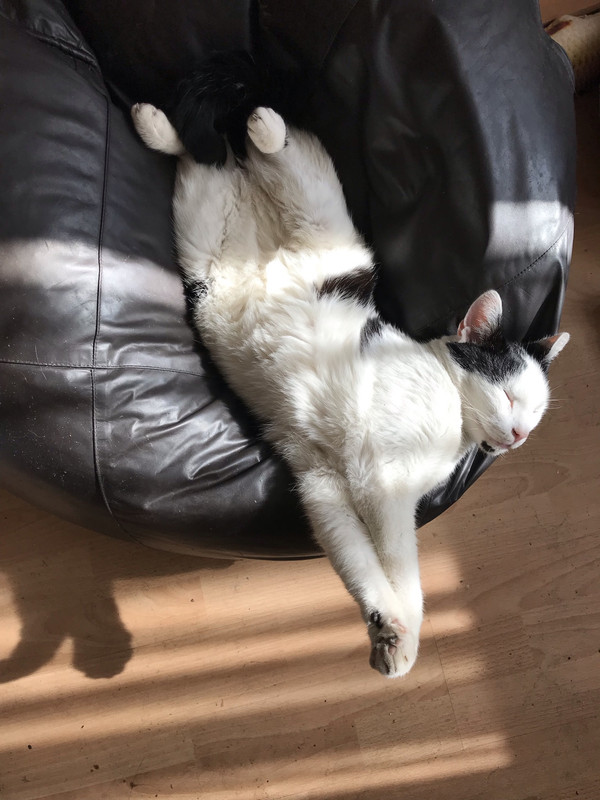 0E71BAA1-F503-4642-B701-E00B46F6F3F9