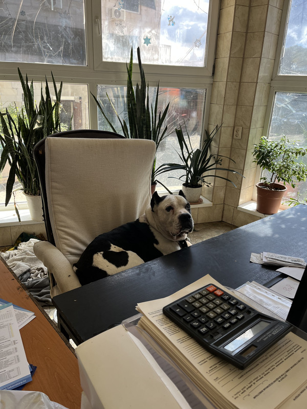 FA3005BB-518D-4876-8E83-A8B7F4C25E93