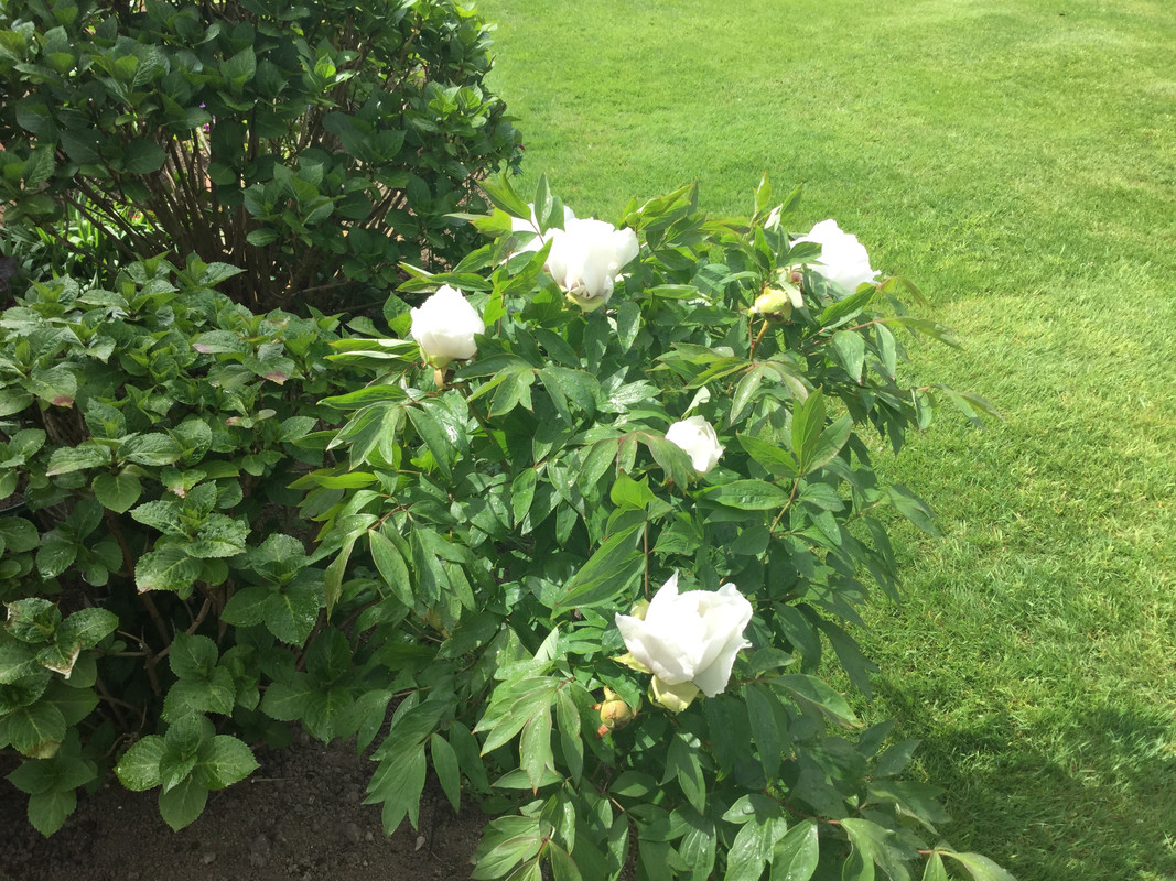 10E1DD11-BD0A-402B-97ED-BDF93B5BFE32