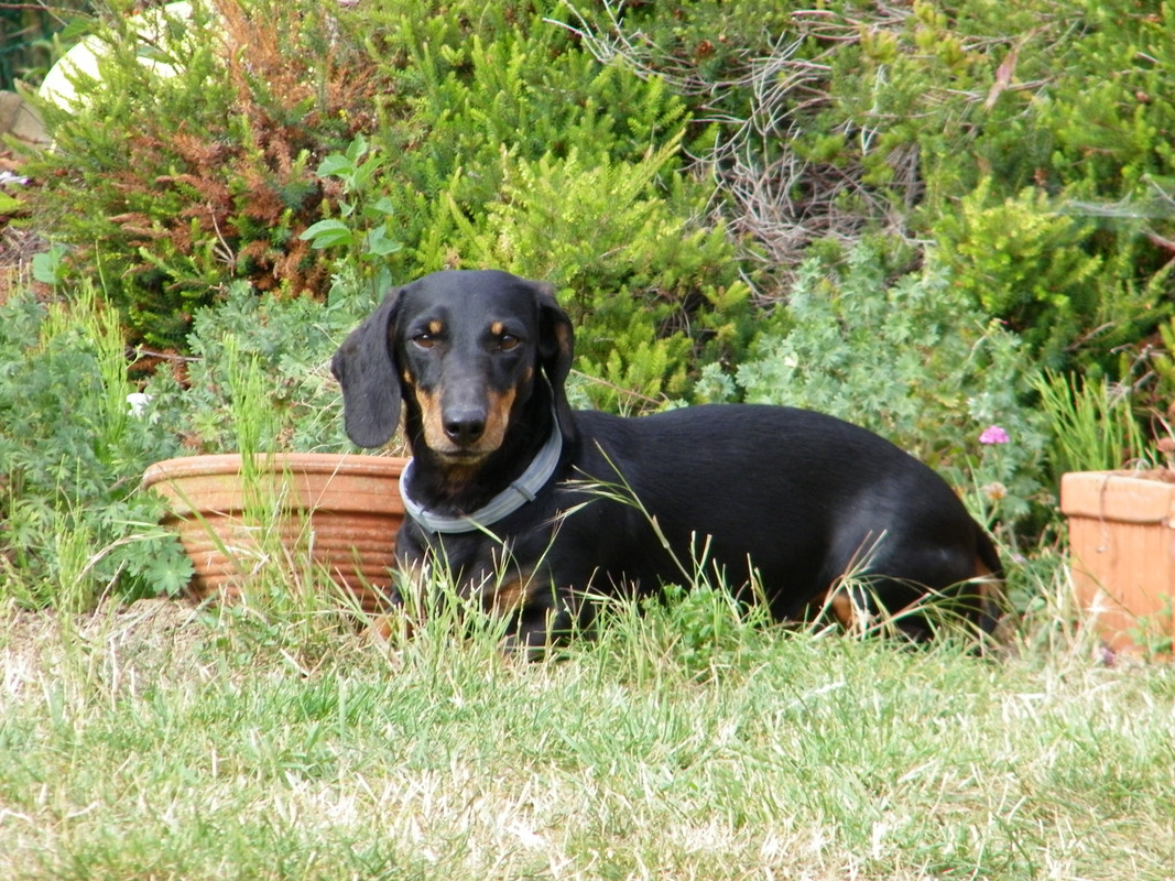 [Image: 201-3007.jpg]