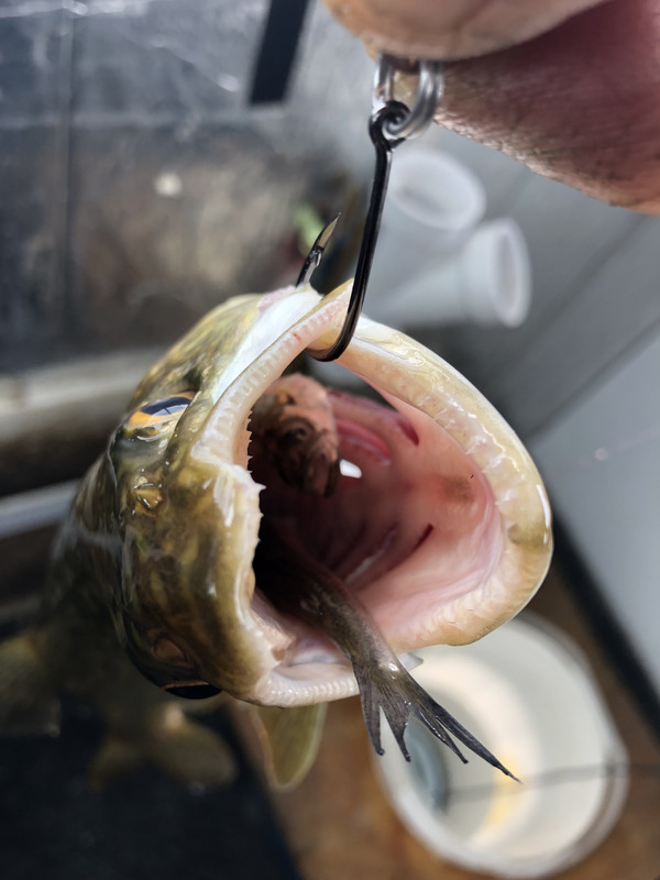 D0B08B2E-3882-488D-A829-8500A170E183