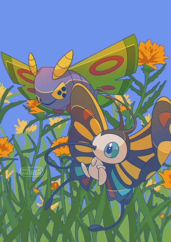 beautifly-and-dustox-pokemon-drawn-by-mi