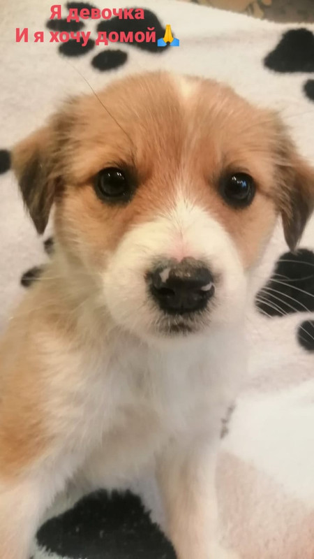 490787B9-348E-4AC0-8A79-08DE519A4A51