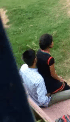 Couple-fucking-in-park-2.gif