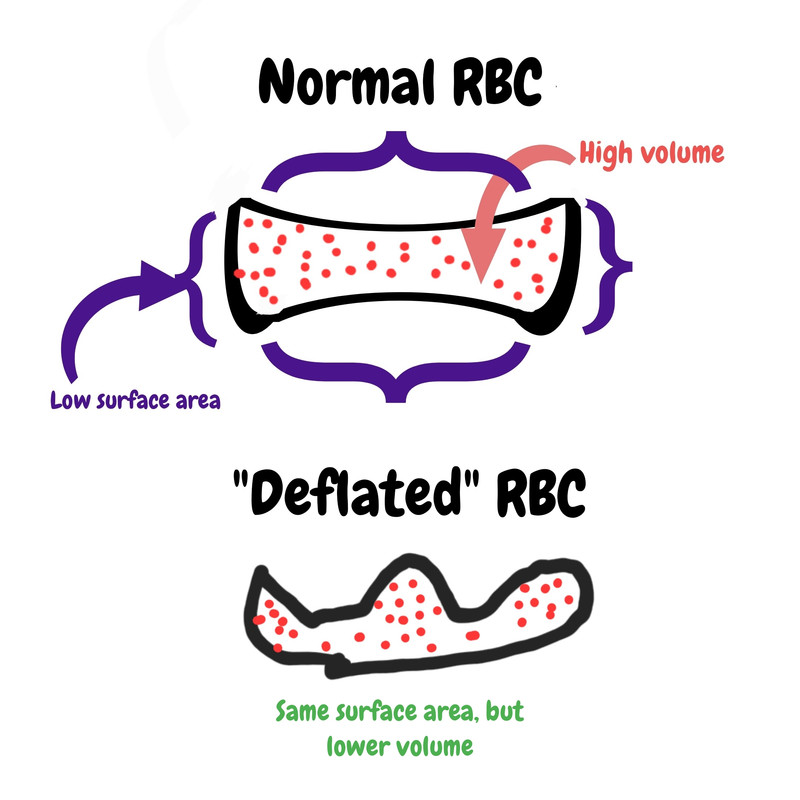 Deflated-rbc