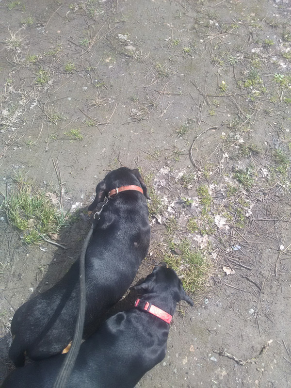 [Image: IMG-20230326-143949.jpg]