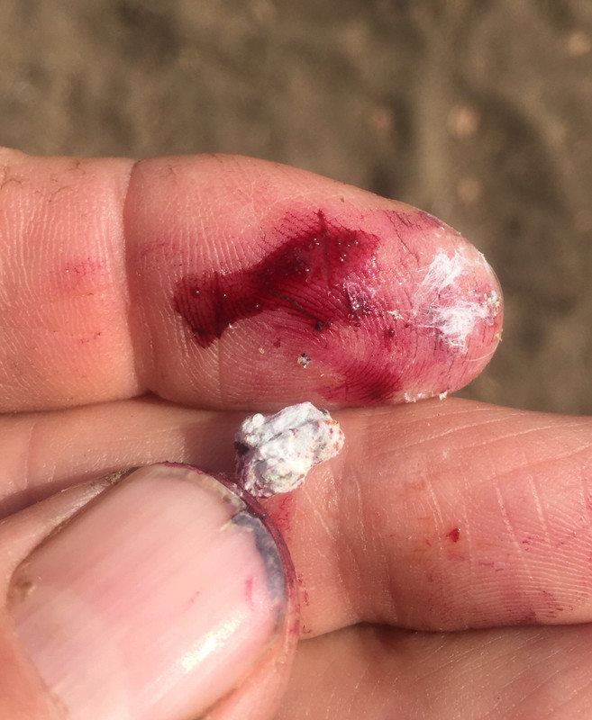 429710A2-90C0-475C-8753-73A1993A7C05