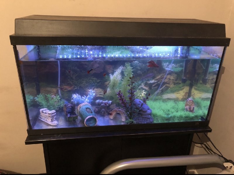 27983D46-44E3-4954-A533-708292049525