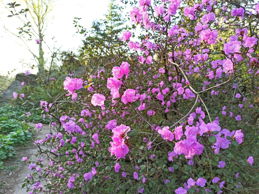 491216677_9523958387695669_5920620606029882945_n