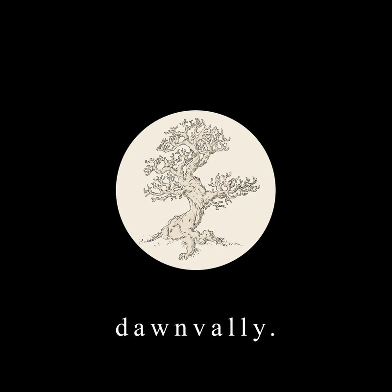 www.facebook.com/dawnvally