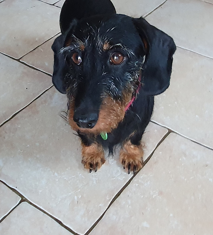 [Image: 20230707-203044.jpg]