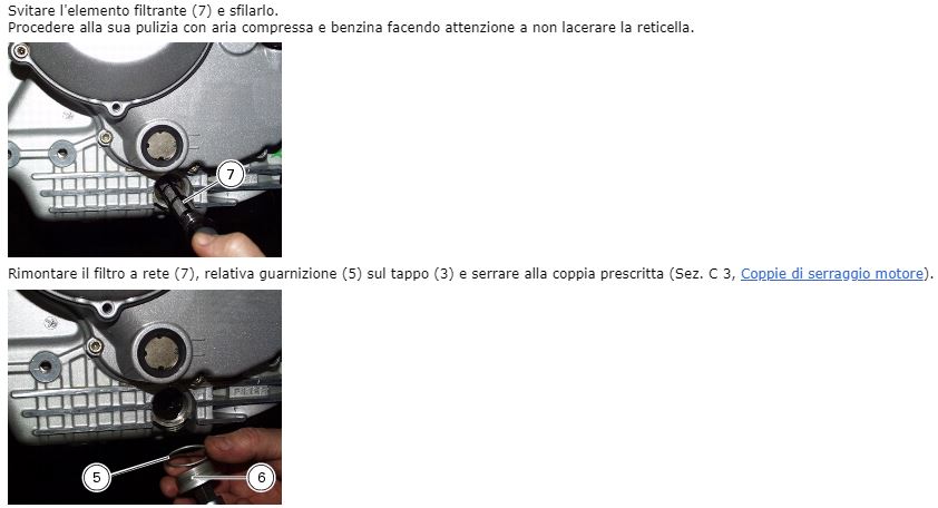 HM 1100S Manutenzione - Olio motore_6