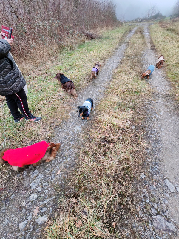 [Image: IMG-20241230-163838.jpg]