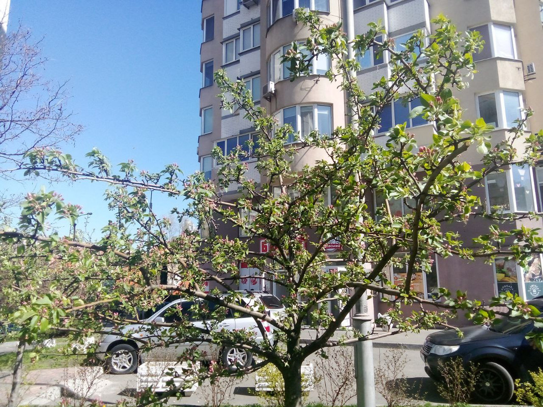 photo_2024-04-09_15-29-30