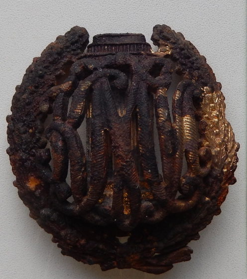 КМИ   -  студента Императорского Константиновского межевого института (1)