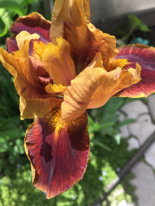 37CA7FB6-9212-441B-A16F-1DFAFCEBEDB1