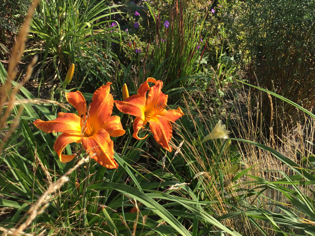 3DC6338A-D99E-4D84-9AAA-0C44639801BF