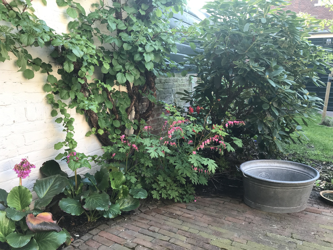 F4EA5DD6-2219-456F-9827-D572E1D050C2