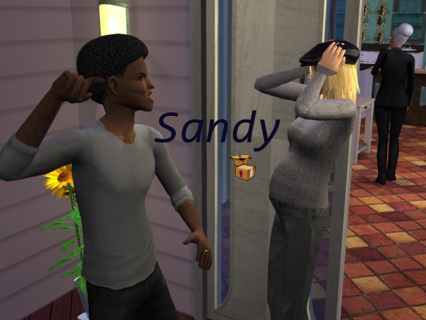 Sandy-R2