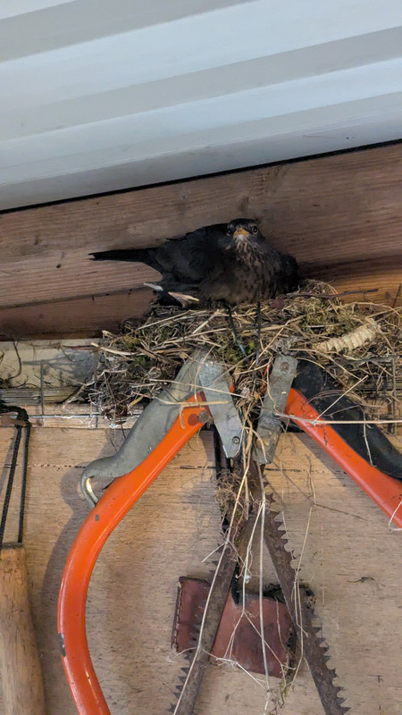 PXL_20250426_142051226