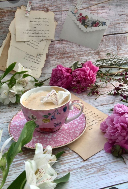 Screenshot_20230408_003030_Pinterest