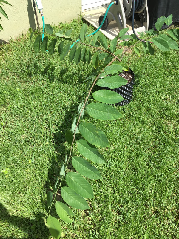 28B5C1F4-3D25-4746-BB8B-C4D1BC2667E4