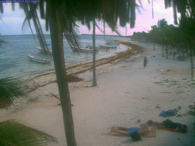 Playa Akumal - Excursión en Riviera Maya - Foro Riviera Maya y Caribe Mexicano