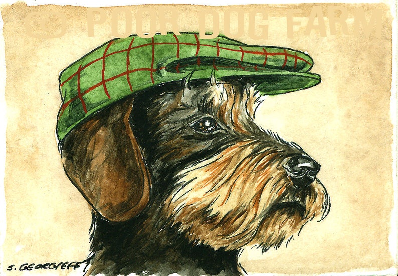 [Image: il-794x-N-1324200579-8pjf.jpg]