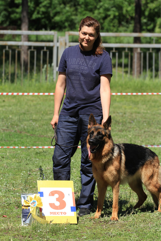 IMG 6301 — Postimages