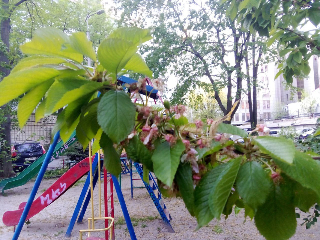 photo_2025-04-22 9.56.13 пп