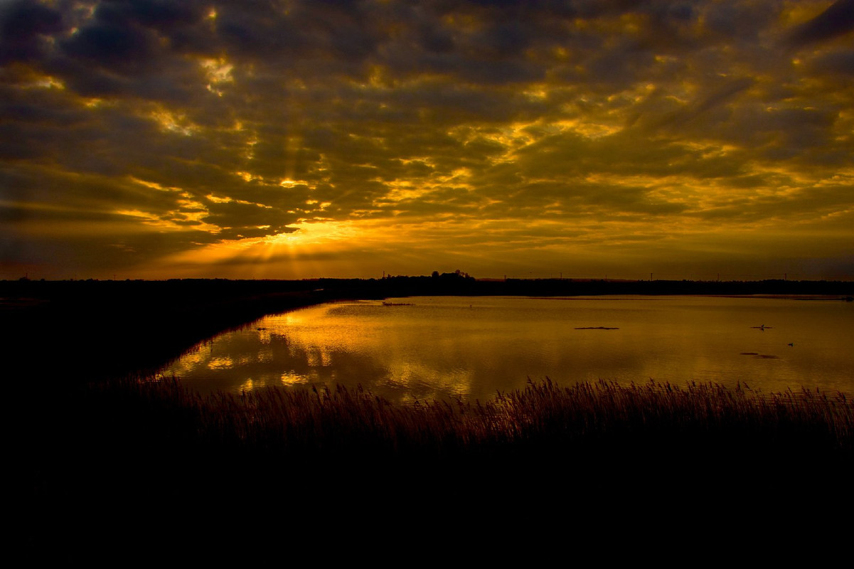 gold-sunset-tennyson-sands.jpg